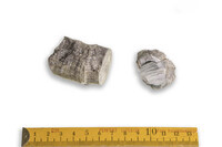 F 00896
<br/>
<br/>
<em></em>